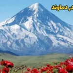 طراحی سایت در دماوند طراحی سایت در دماوند